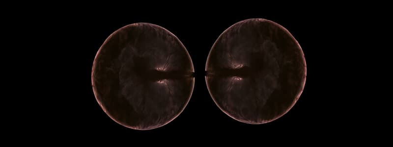 Mitosis y Meiosis