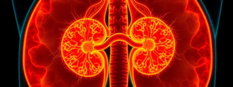 Renal Scintigraphy Techniques