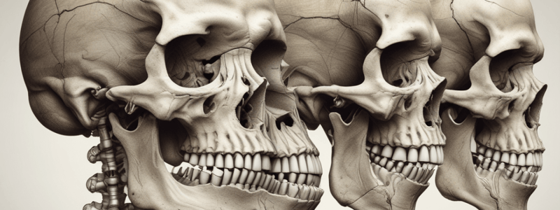 Long Bone Components Quiz