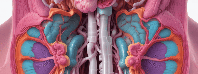 Bronchiectasis Overview