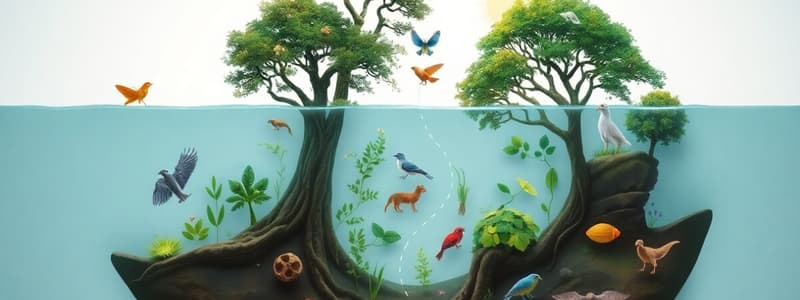 Ecosystems and Food Chains