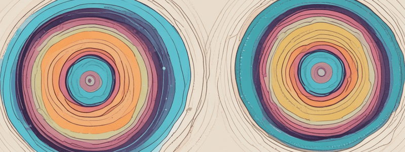 Mitosis and Cytokinesis Process