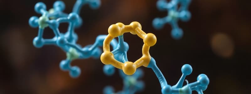 Biology Chapter: Molecules of Life