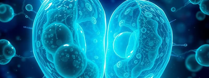 Cell Division and the Cell Cycle