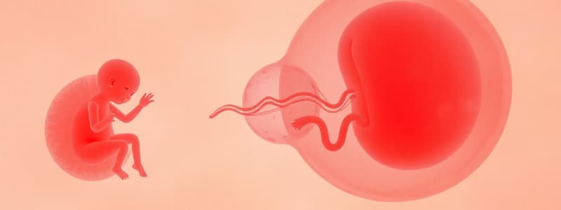 Biología Reproductiva Humana: Fecundación y Desarrollo