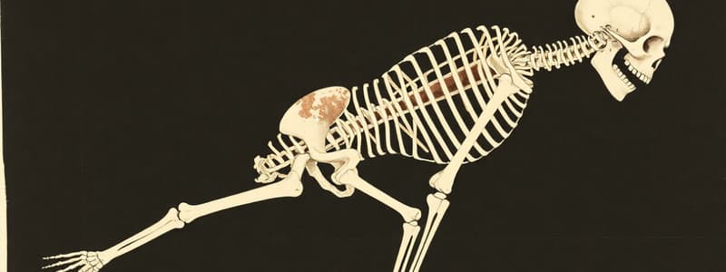 Ossification: Processes and Types