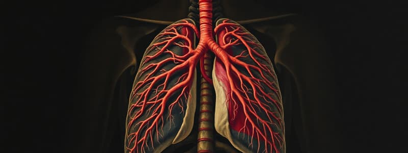 Circulatory and Respiratory Systems