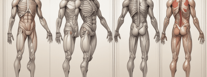 RDH 226 Anatomy & Physiology Review