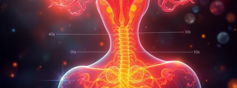 Endocrine System and Hormone Classification