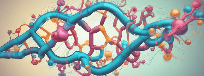 rRNA Structure, Processing, Regulation, and Function