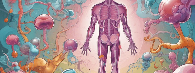 Angiotensin-Converting Enzymes Quiz