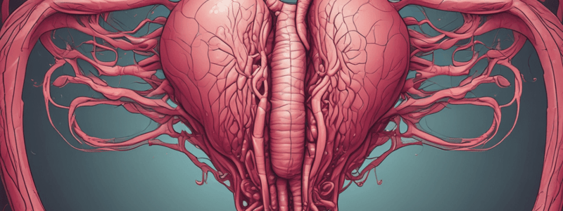 Lecture 11:Anatomy of the Placenta