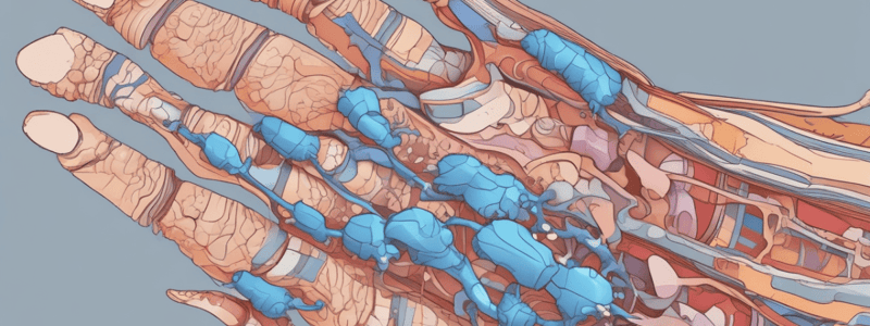 Rheumatoid Arthritis and Gout: Drug Therapy and Treatment