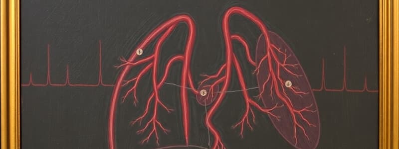 Pulmonary Circulation and Gas Exchange