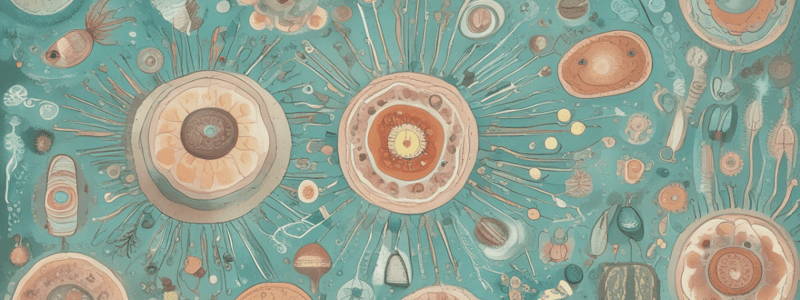 Introduction to Eukaryotes and Yeasts