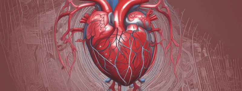 Cardiovascular System: Heart and Blood Supply