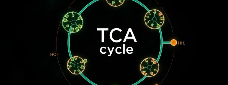 The Tricarboxylic Acid (TCA) Cycle