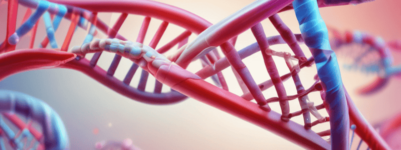 Extraction and Quantification of DNA from Blood Samples