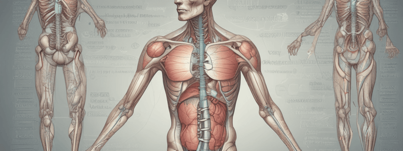 Medical Terminology: Common Prefixes