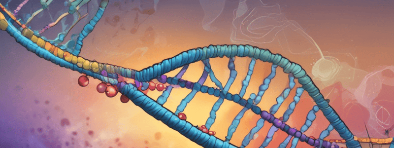 DNA Replication Proteins: Helicases and Single-Strand Binding Proteins