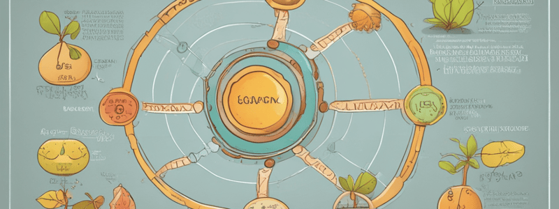 Pyruvate Oxidation and Citric Acid Cycle