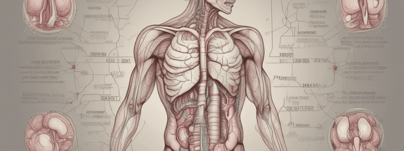 Digestive Tract: Introduction