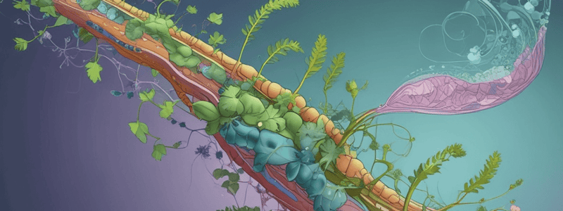 Plant Storage Lipids and Their Applications