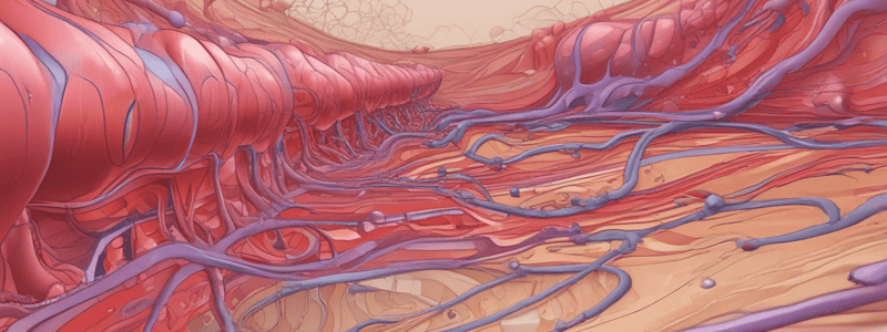 Microvascular Permeability and Endothelial Barrier