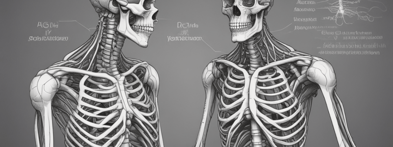 Anatomia Apparato Locomotore