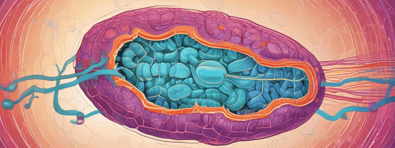 Gluconeogenesis