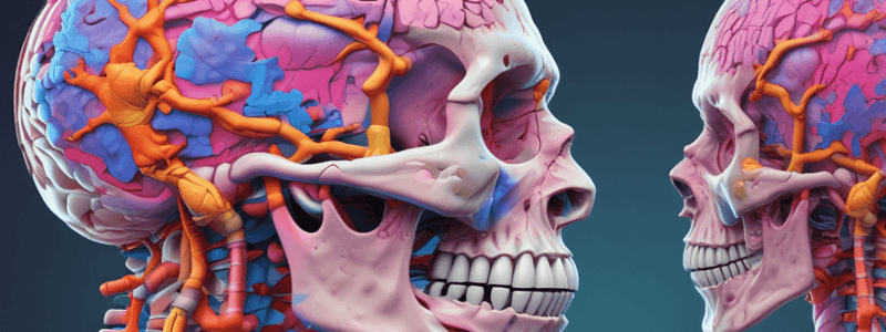 CT Scan Soft-tissue Contrast Quiz