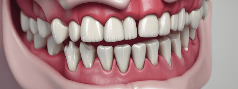 Dental Anatomy: Permanent Maxillary Molars