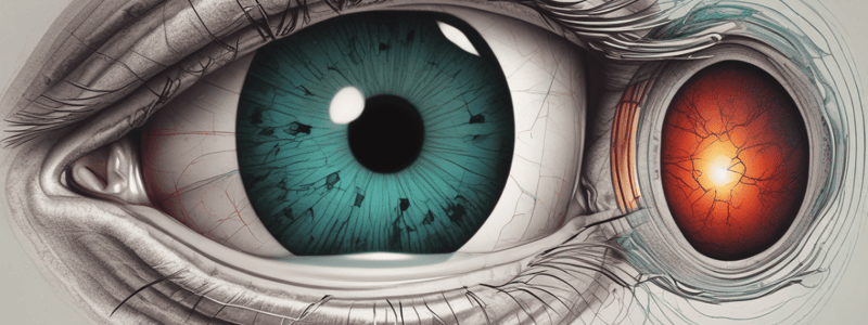 Ophthalmic Surgery: Ruptured Globe