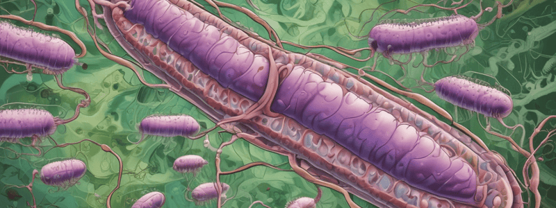 Vibrio cholerae : Identification et Traitement