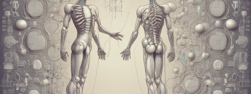 Calcium and Phosphate in the Human Body