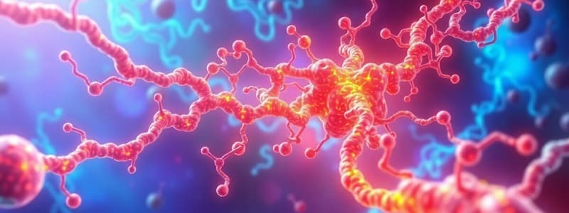 Amino Acid Catabolism Overview