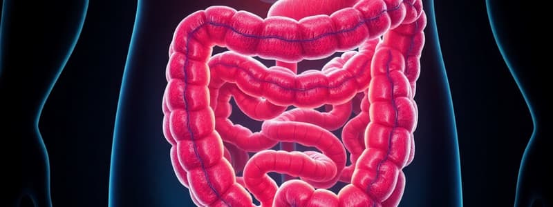 Gastrointestinal Elimination and Structure Quiz