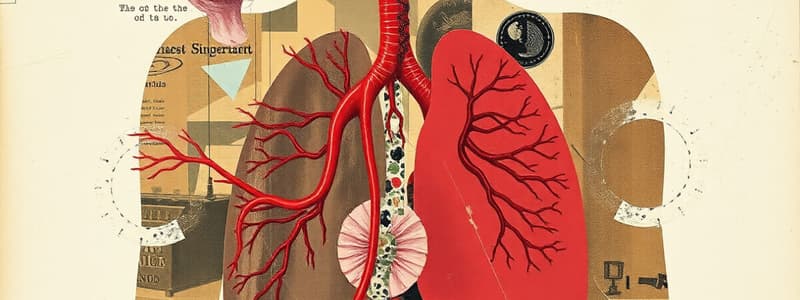 Circulation and Respiration Chapter 30 (Exam 4)