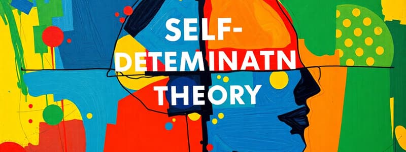 Self-Determination Theory and Motivation Quiz