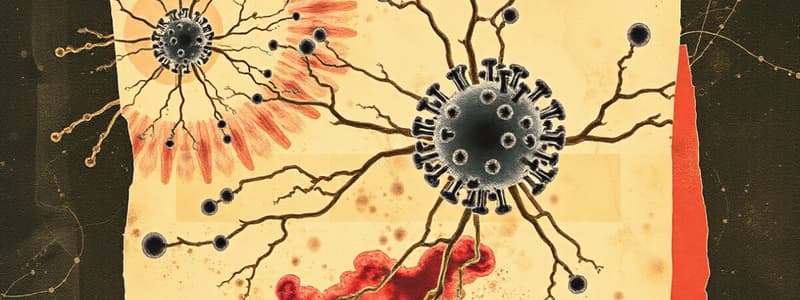 Connective Tissue Cells Quiz