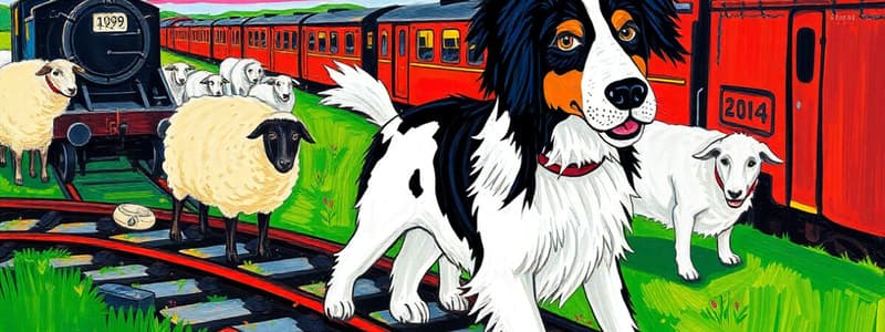 Bob the Railway Dog: Early Life and Travels