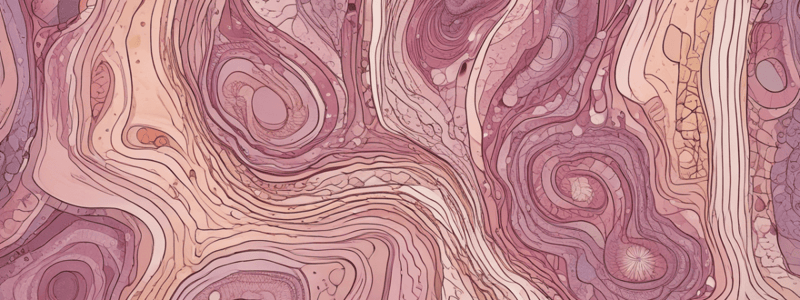 Histology of Integumentary System