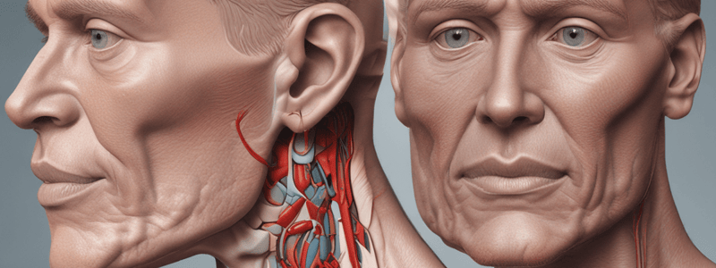 Anatomy of the Parotid Region