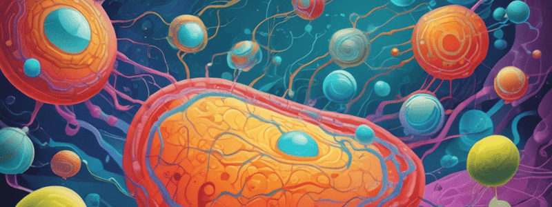 Cellular Transport: Endocytosis and Exocytosis