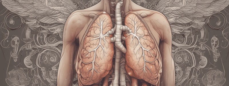 COPD and Emphysema: Respiratory Disorders