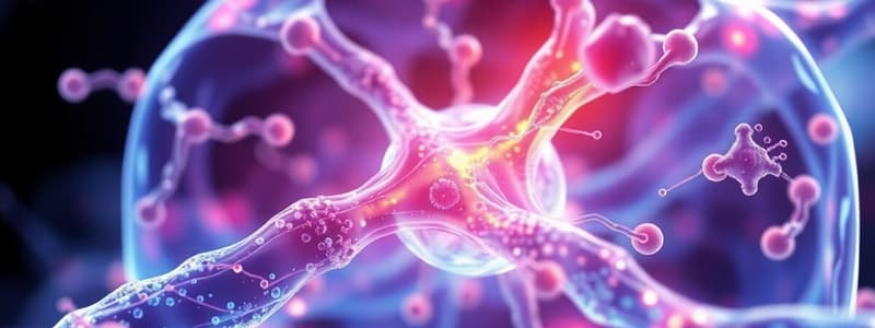 Cell-Cell and Cell-ECM Junctions