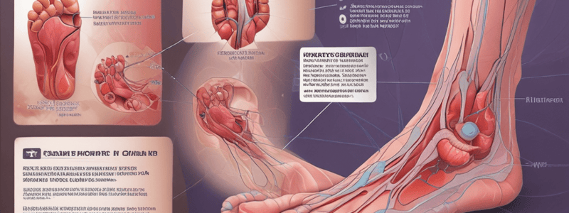 Diabetic Foot Ulcer Classification