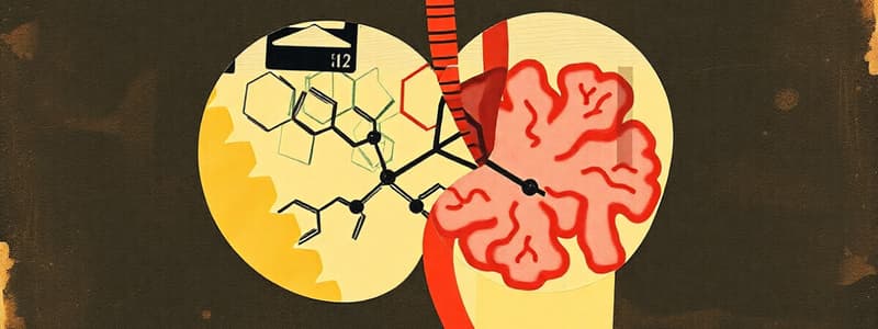 Adrenal Gland Hormones Overview