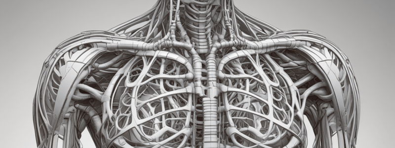 Thoracic Cage Anatomy