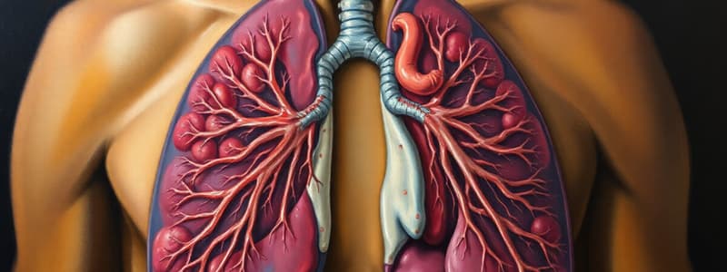 Respiratory System Quiz